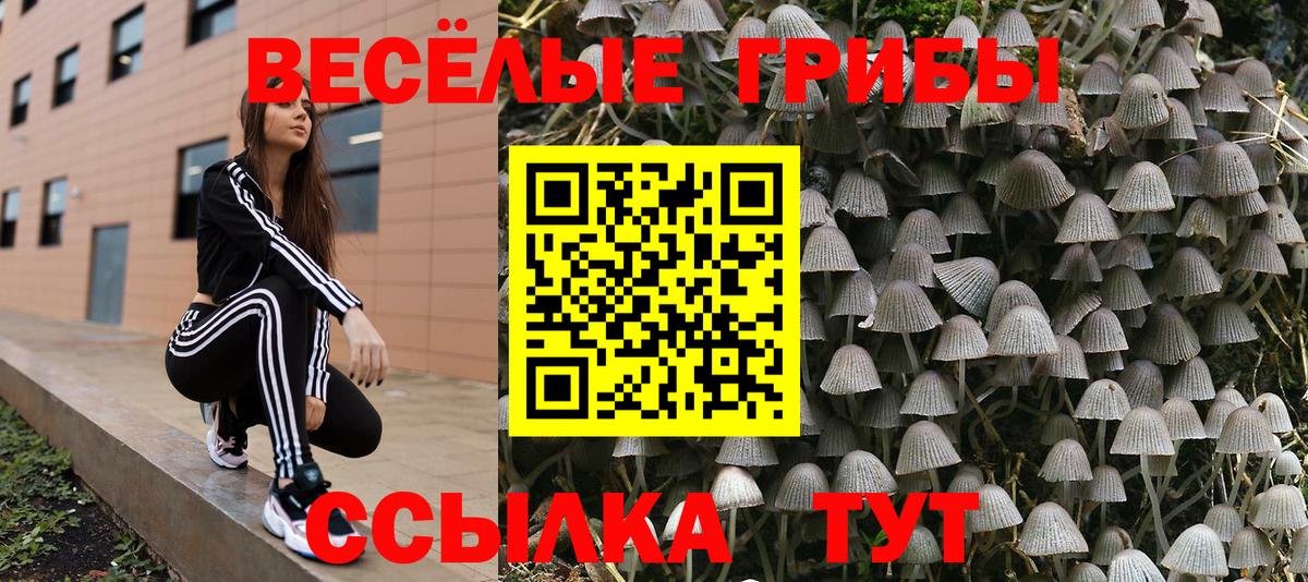 А ПВП Чехов